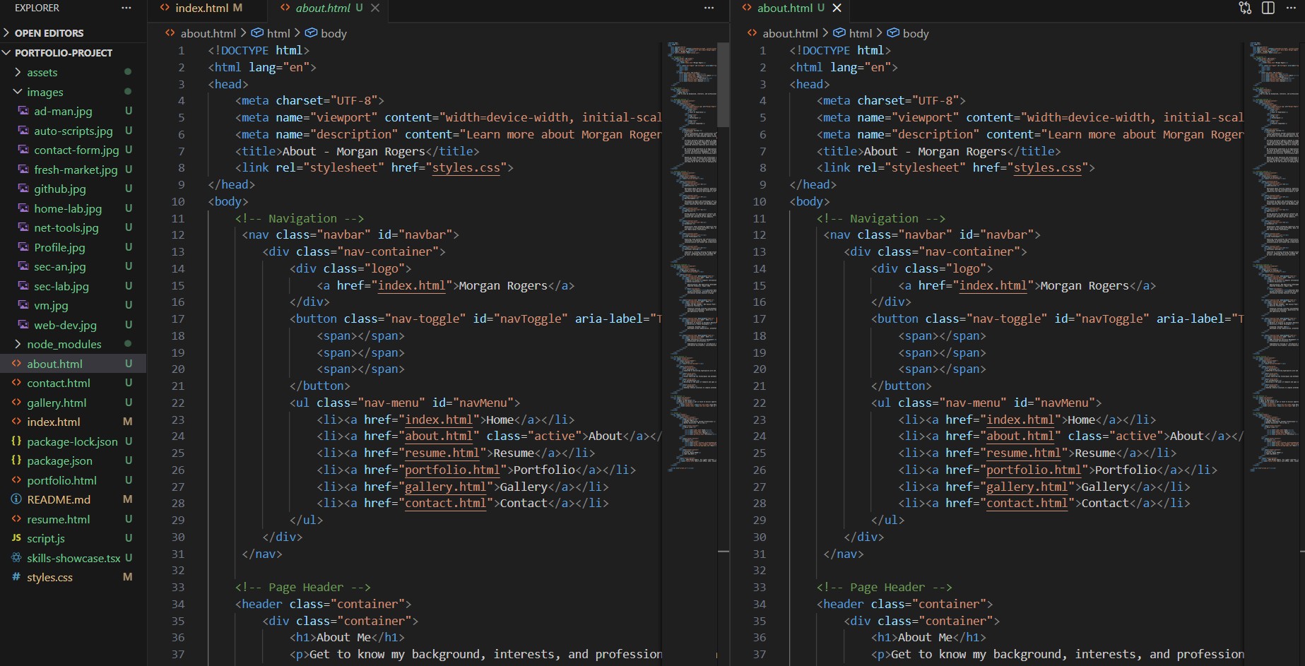 Web Development Projects